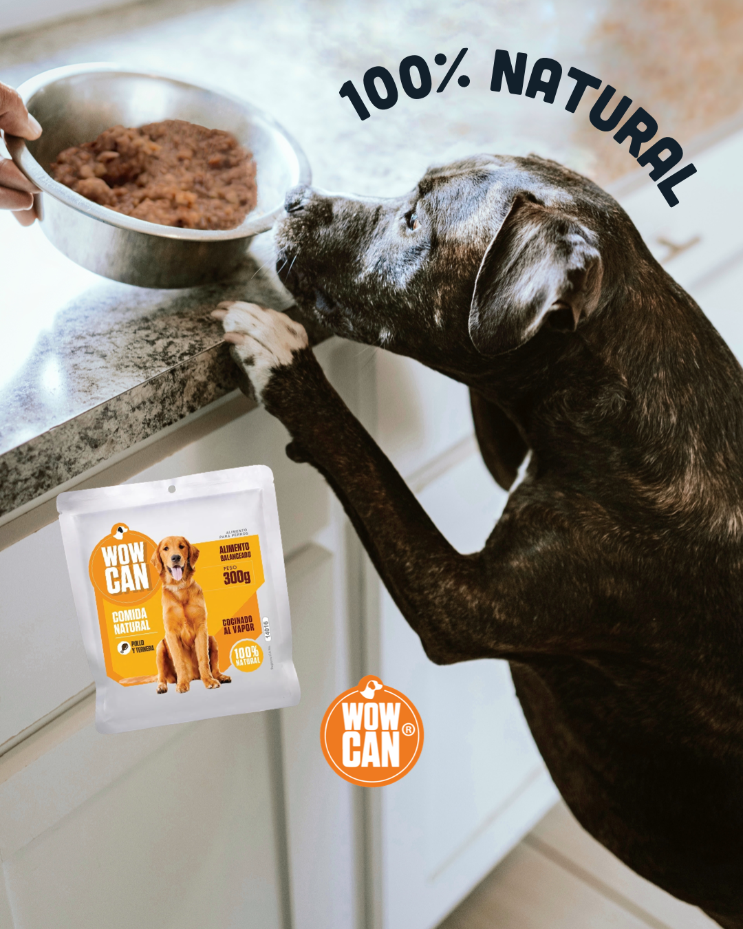 Pack 15 Sobres | Pollo | Alimento Húmedo para Perros