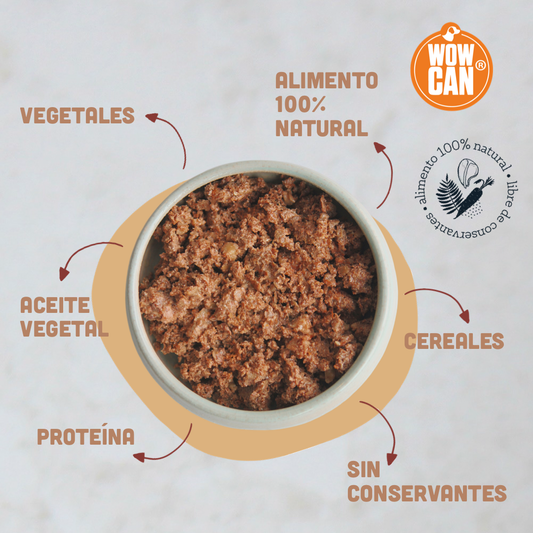 5 Señales de que tu Perro Necesita un Cambio de Alimento (Más Allá del Pellet)