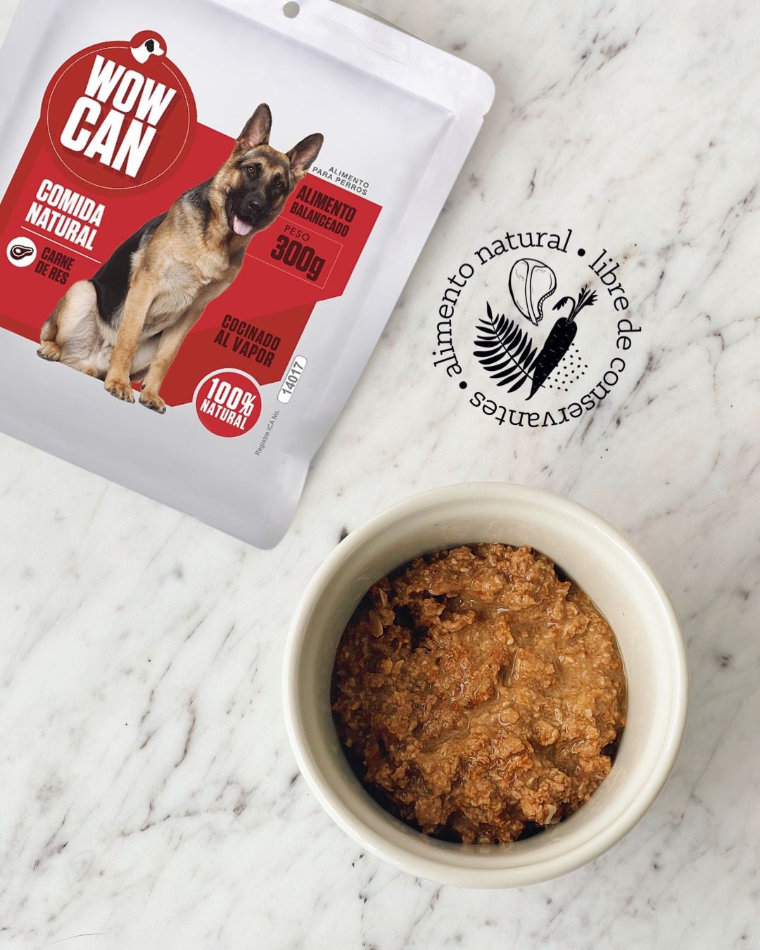 ¿Por qué elegir comida húmeda para tu perro? Beneficios y propiedades de Wow Can, la alternativa natural
