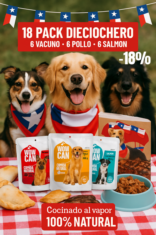 🐶🇨🇱 Pack Dieciochero  – 18 Sobres (Vacuno, Pollo y Salmón)