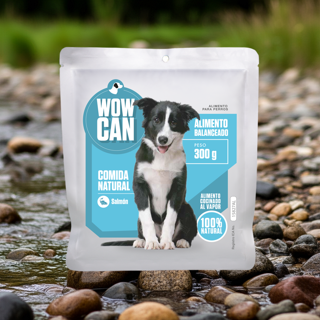 Packs Salmon-Pollo (300grs)