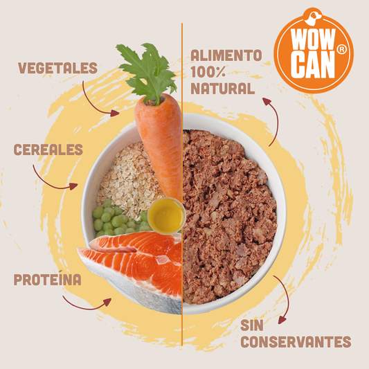 Wow Can Mix 3 Sabores
