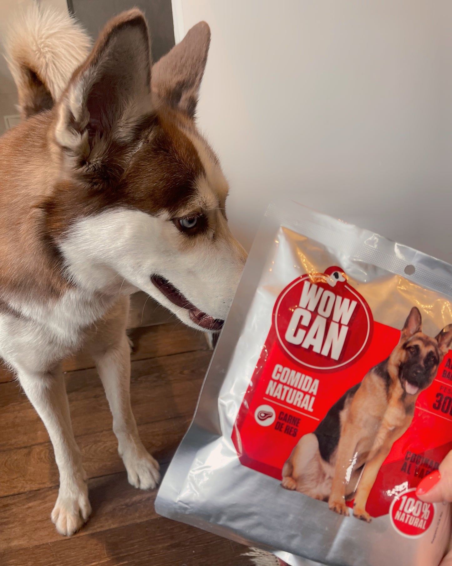 10-Pack Sobre Vacuno (300grs)