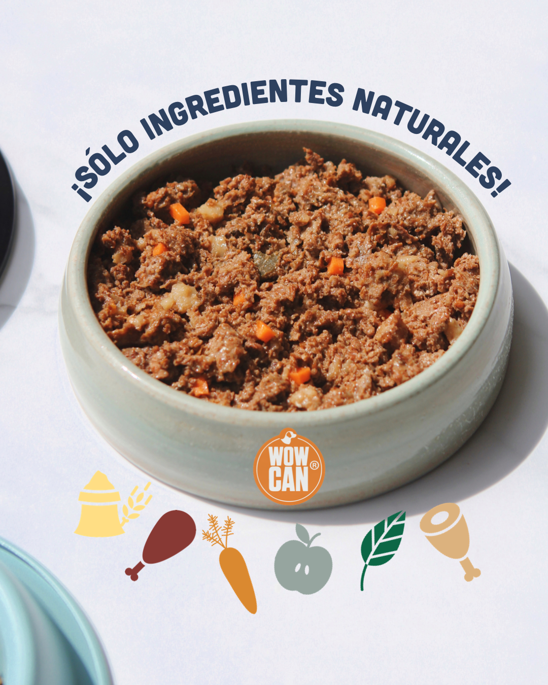 Packs Salmon-Pollo (300grs)