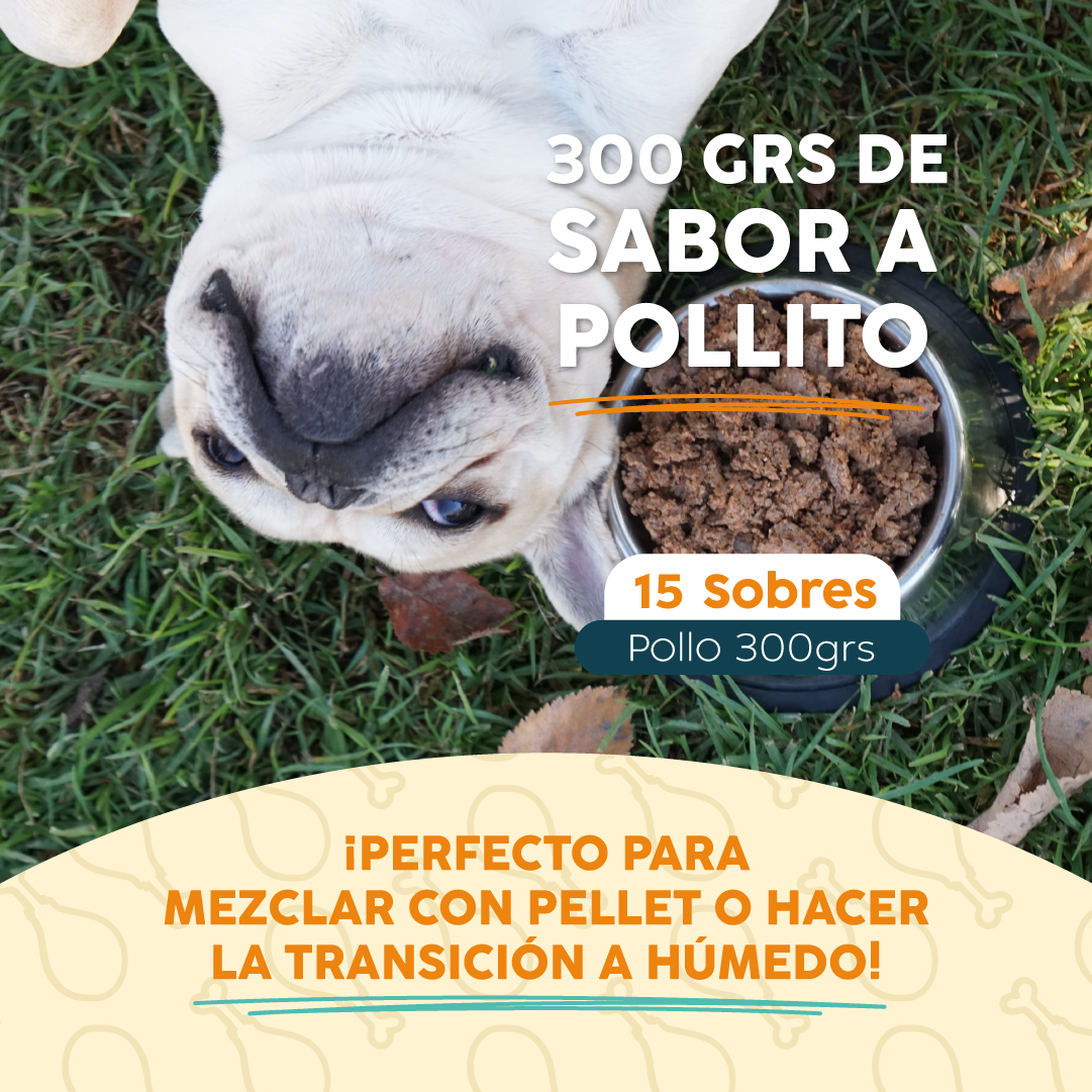 Pack 15 Sobres | Pollo | Alimento Húmedo para Perros