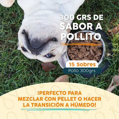 Pack 15 Sobres | Pollo | Alimento Húmedo para Perros