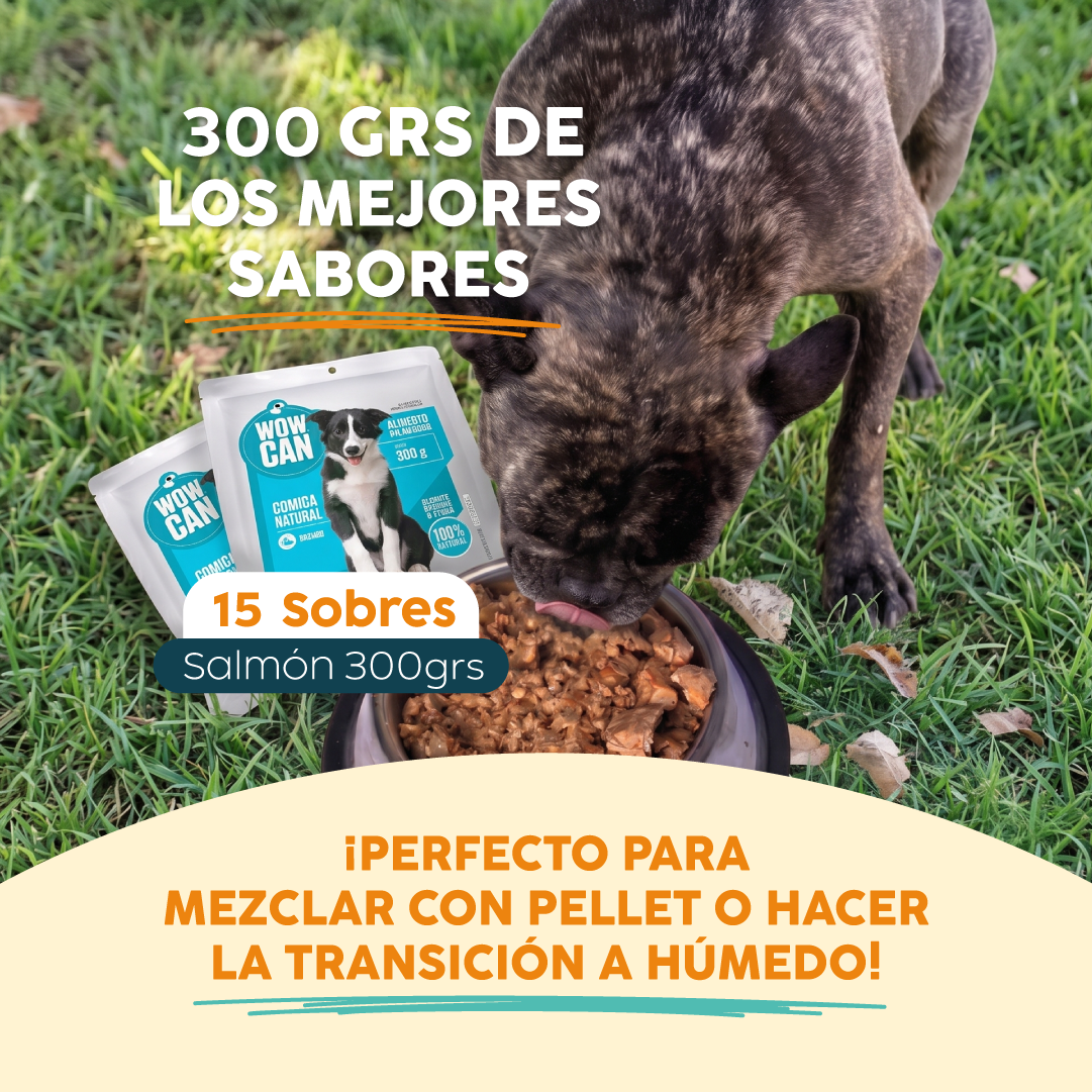 Pack 15 Sobres | Salmón | Alimento Húmedo para Perros