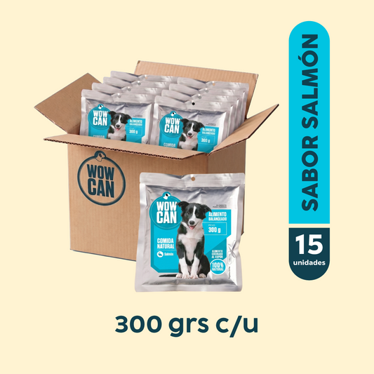 Pack 15 Sobres | Salmón | Alimento Húmedo para Perros