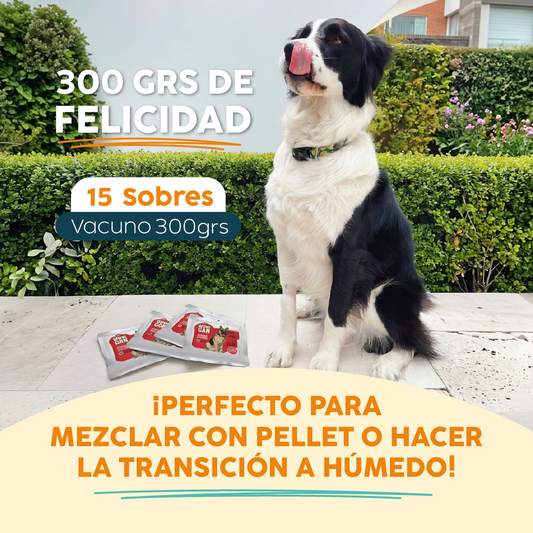 Pack 15 Sobres | Vacuno | Alimento Húmedo para Perros