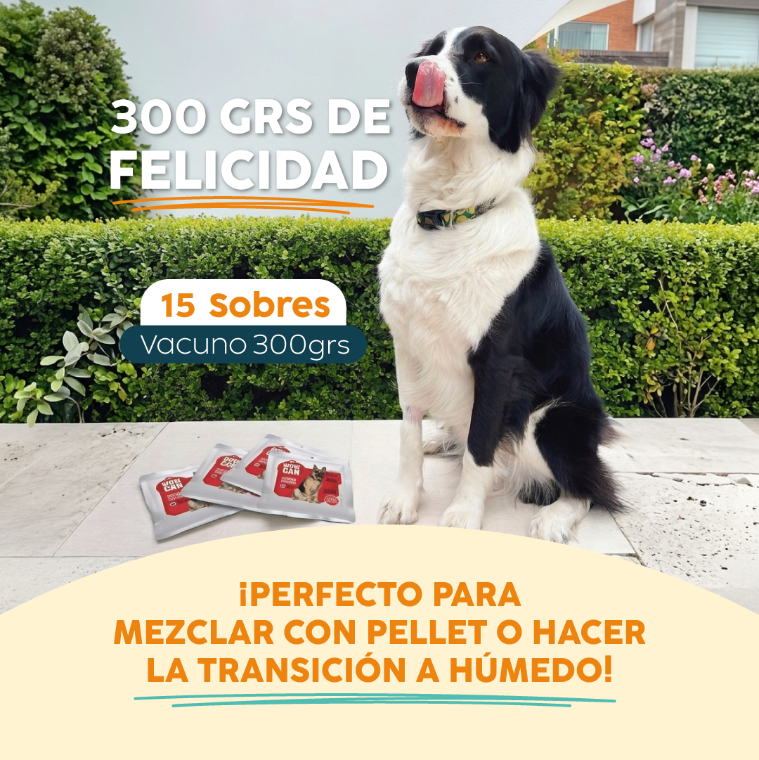 Pack 15 Sobres | Vacuno | Alimento Húmedo para Perros