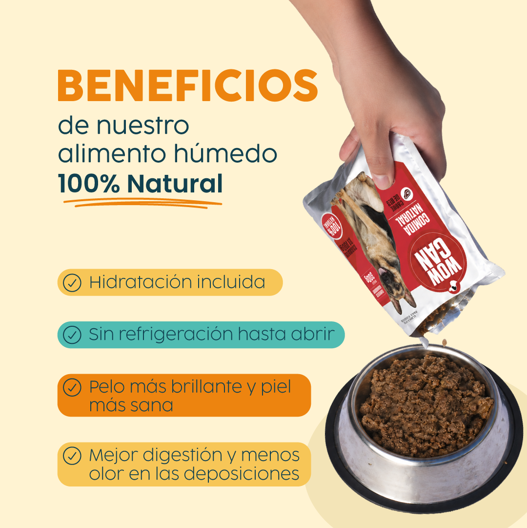 Pack 15 Sobres | Vacuno | Alimento Húmedo para Perros