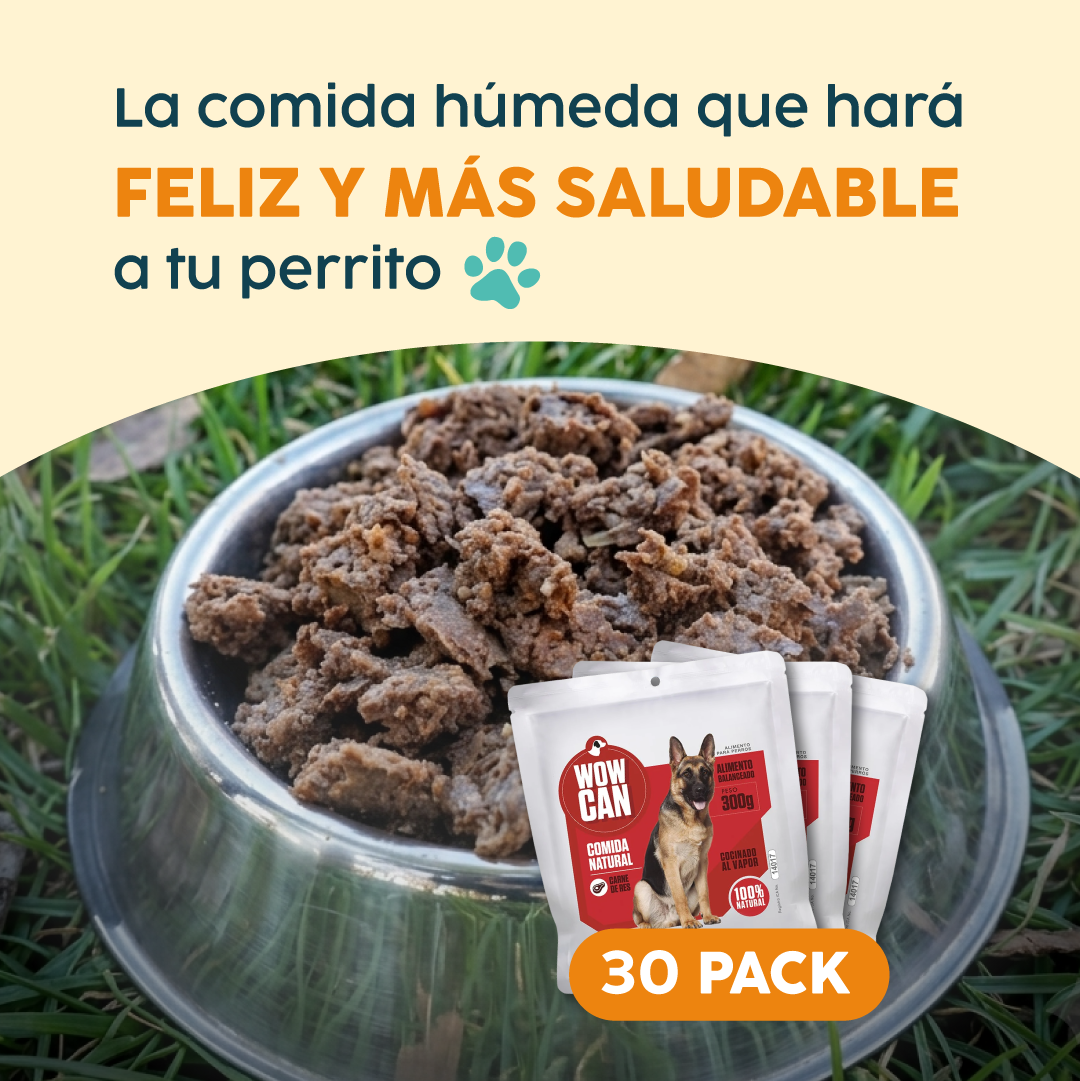 Pack 30 Sobres | Vacuno | Alimento Húmedo para Perros