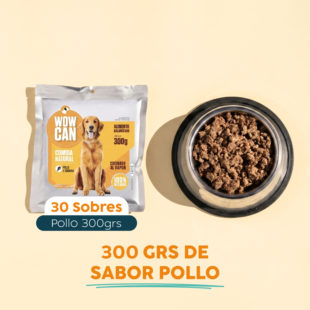 Pack 30 Sobres | Pollo | Alimento Húmedo para Perros