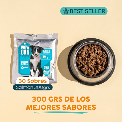 Pack 30 Sobres | Salmón | Alimento Húmedo para Perros