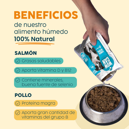 Pack 30 Sobres | Salmón | Alimento Húmedo para Perros