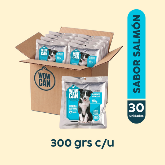 Pack 30 Sobres | Salmón | Alimento Húmedo para Perros