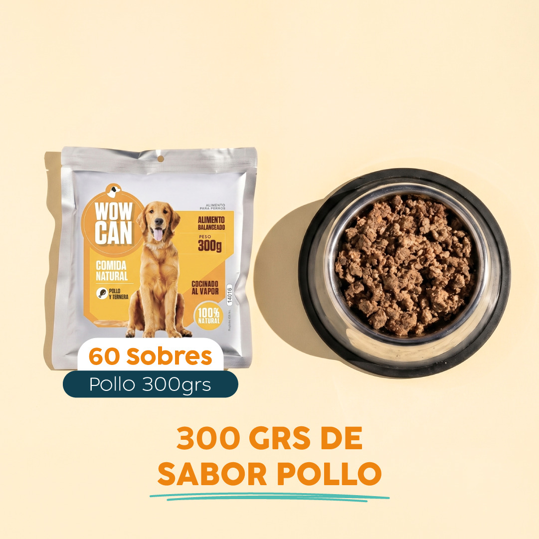 Pack 60 Sobres | Pollo | Alimento Húmedo para Perros