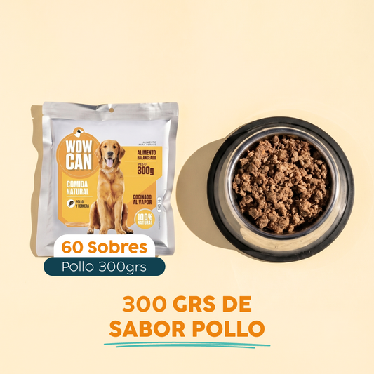 Pack 60 Sobres | Pollo | Alimento Húmedo para Perros