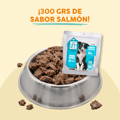 Sobre Salmón-Pollo | 300g - Alimento Húmedo para Perros