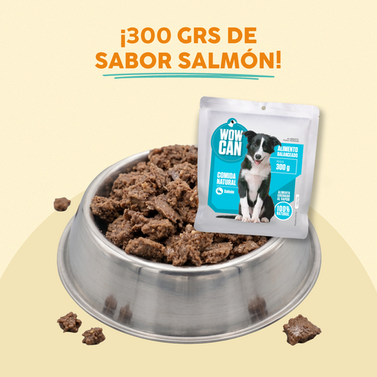 Sobre Salmón-Pollo | 300g - Alimento Húmedo para Perros