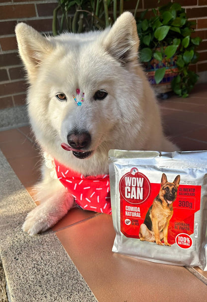 10-Pack Sobre Vacuno (300grs)