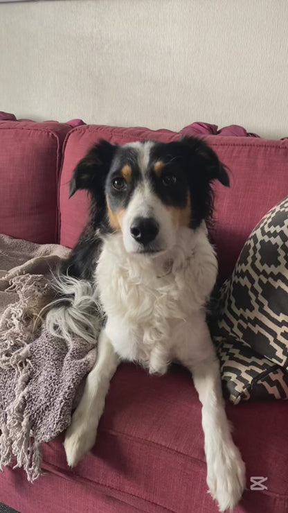 10-Pack Sobre Vacuno (300grs)