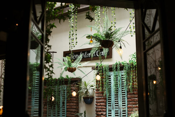 Wonderland Café